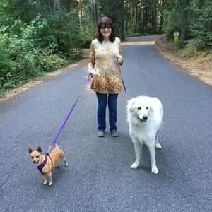 Meet your Posher, Carol